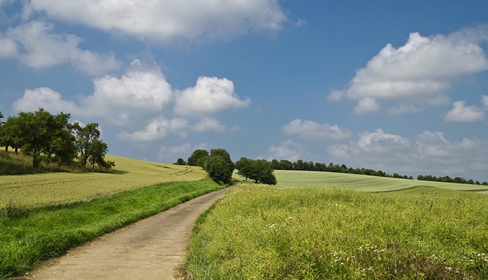 Obligation pour le maire de garantir la circulation sur un chemin rural 