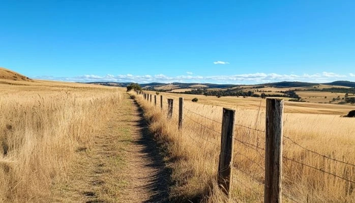 Exploitants agricoles : plus que quelques jours pour déposer votre déclaration Pac